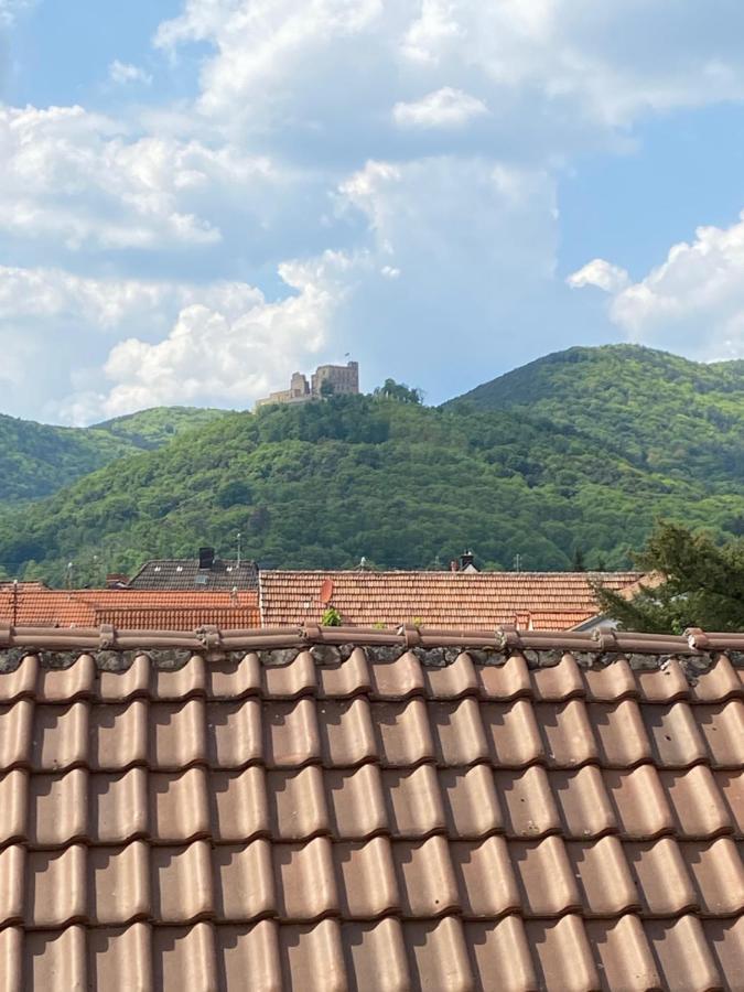 Vintner Suites Neustadt an der Weinstrasse Ngoại thất bức ảnh